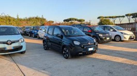 usato FIAT New Panda