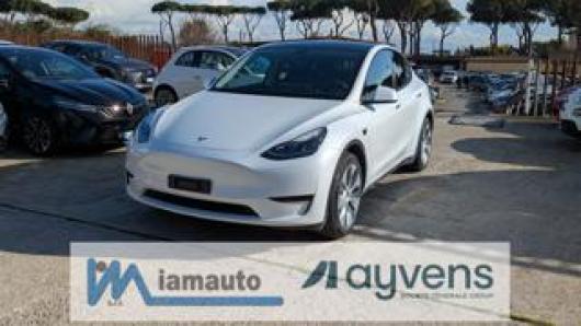 usato TESLA Model Y