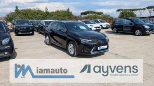 usato LEXUS UX 250h