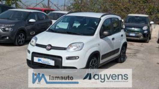 usato FIAT Panda