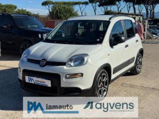 usato FIAT Panda