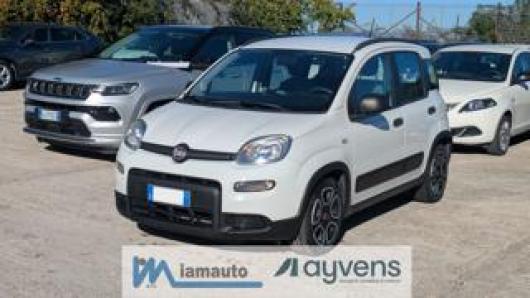 usato FIAT Panda