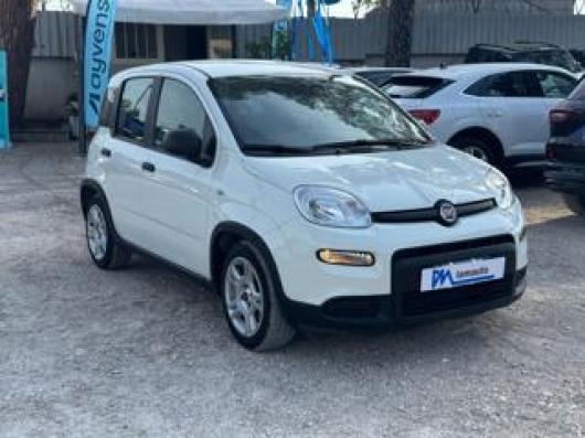 usato FIAT Panda