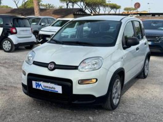 usato FIAT Panda