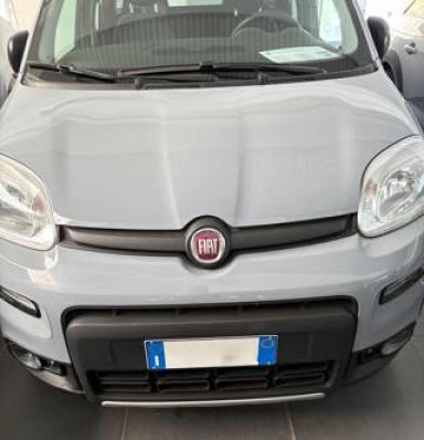 usato FIAT Panda