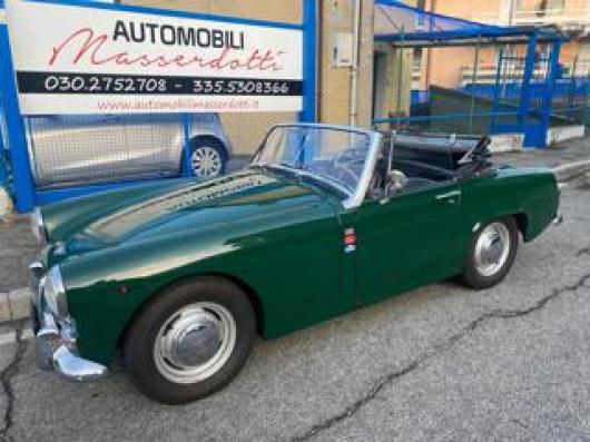 Healey