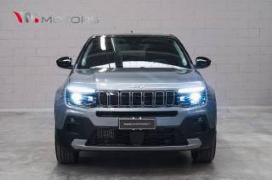 usato JEEP Avenger