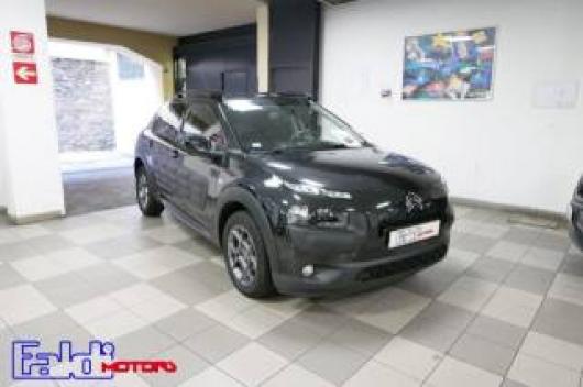 C4 Cactus