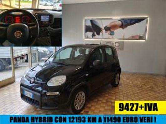 usato FIAT Panda