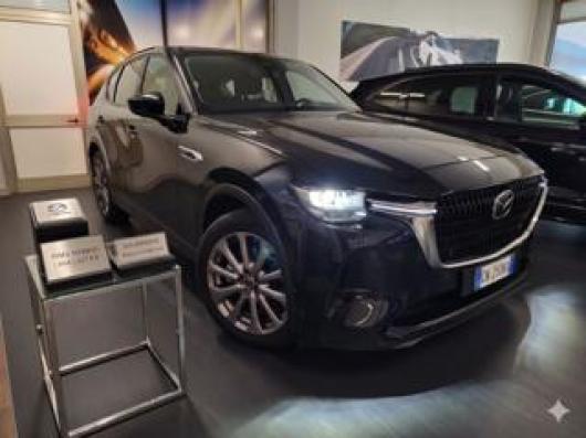 CX 60