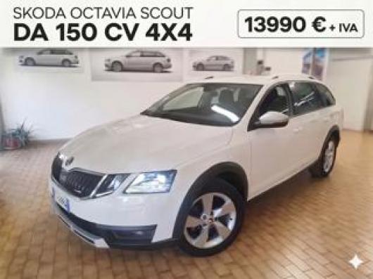 usato SKODA Octavia
