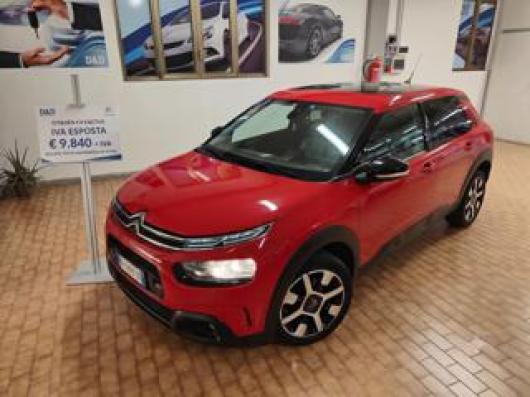 C4 Cactus