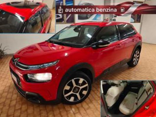 C4 Cactus