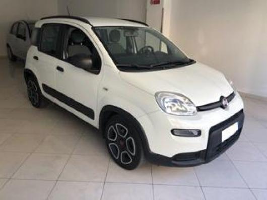 usato FIAT Panda