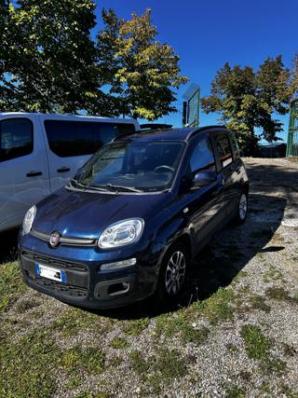 usato FIAT Panda
