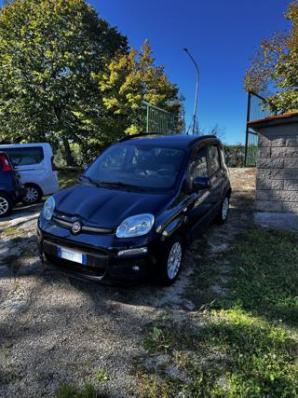 usato FIAT Panda