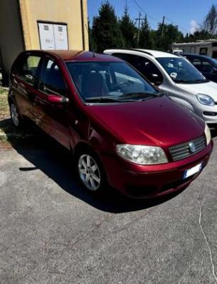 usato FIAT Punto