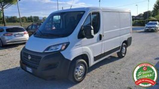 usato FIAT Ducato