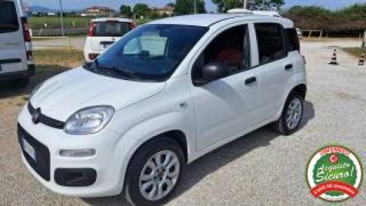 usato FIAT Panda