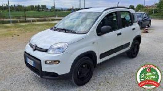 usato FIAT Panda