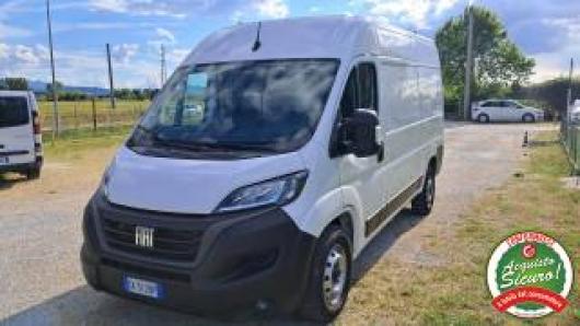 usato FIAT Ducato