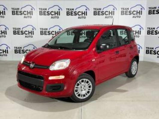 usato FIAT New Panda