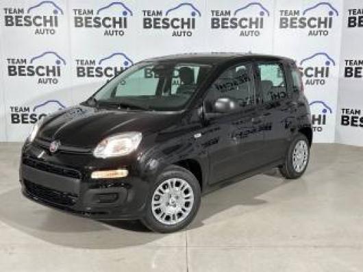 usato FIAT New Panda