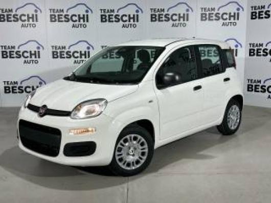 usato FIAT New Panda