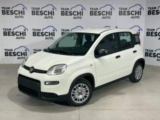 usato FIAT Panda