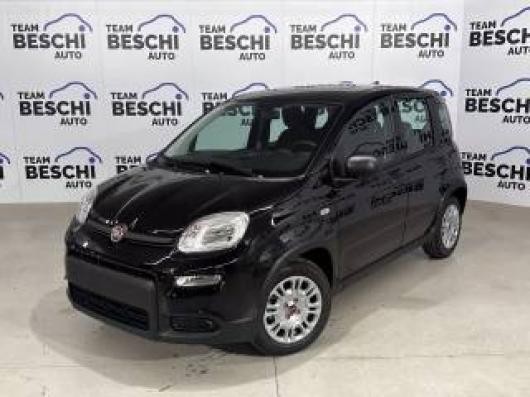 usato FIAT Panda