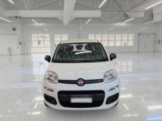 usato FIAT Panda