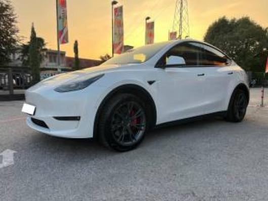 usato TESLA Model Y