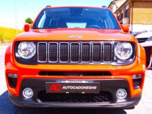Renegade