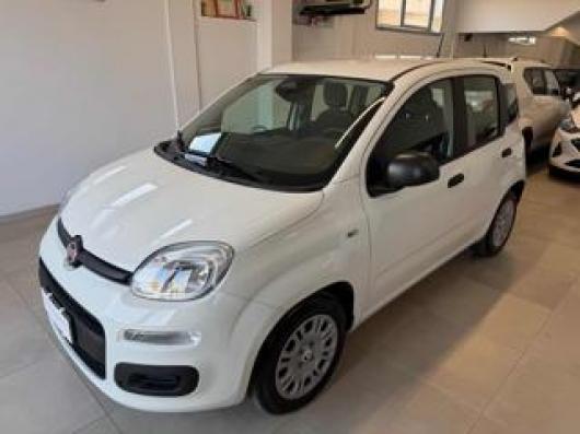usato FIAT Panda