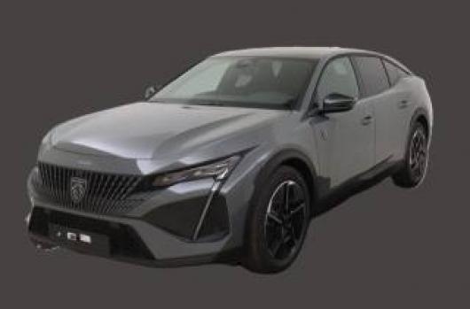 usato PEUGEOT 408