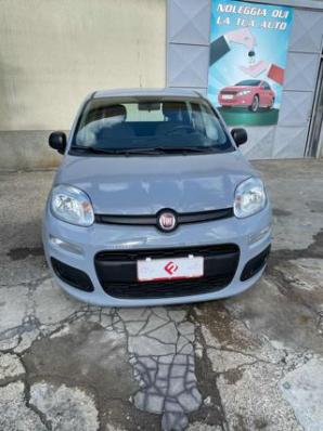 usato FIAT Panda