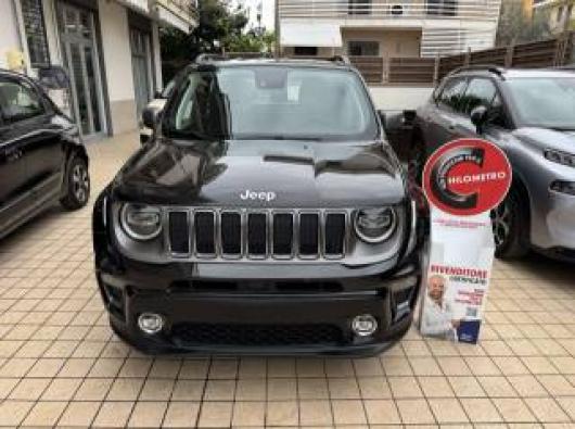 usato JEEP Renegade