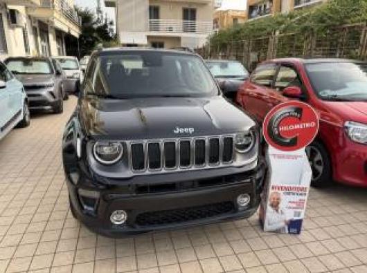 usato JEEP Renegade
