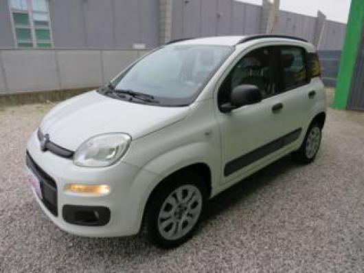usato FIAT Panda