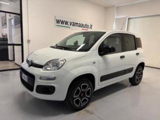 usato FIAT Panda