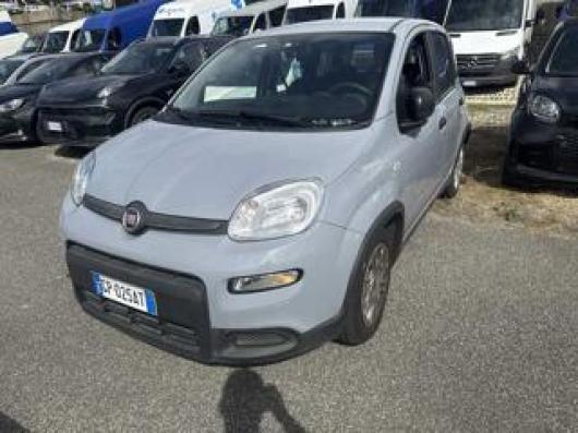 usato FIAT Panda