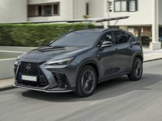 NX 300h