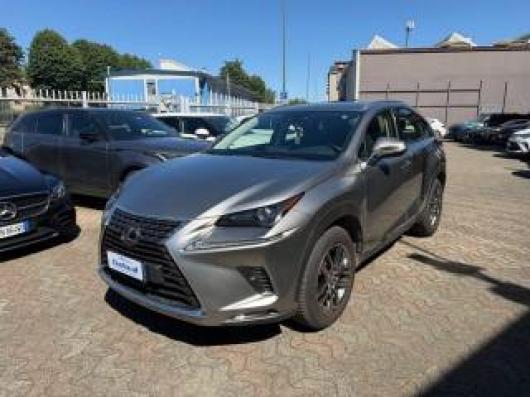 usato LEXUS NX 300