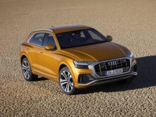 usato AUDI Q8