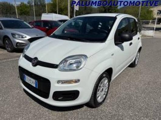 usato FIAT Panda