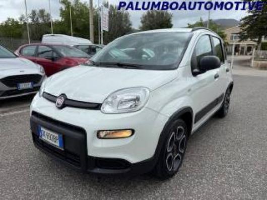 usato FIAT Panda