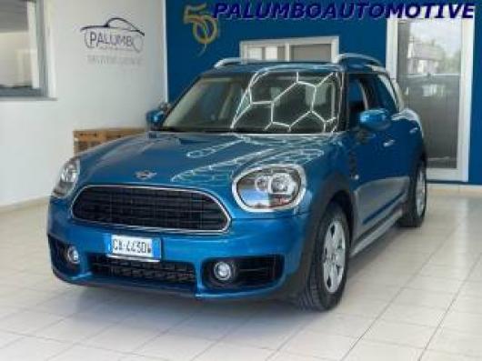 usato MINI Countryman