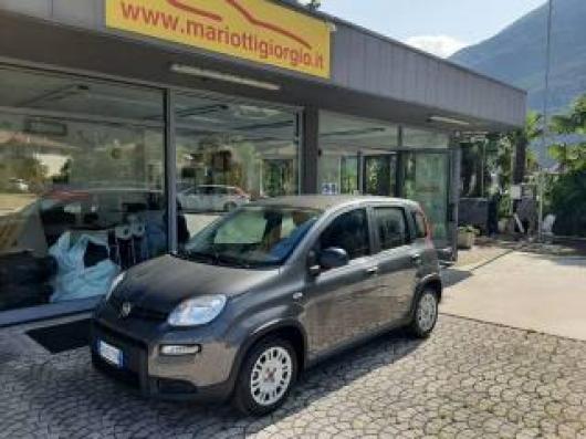 usato FIAT Panda