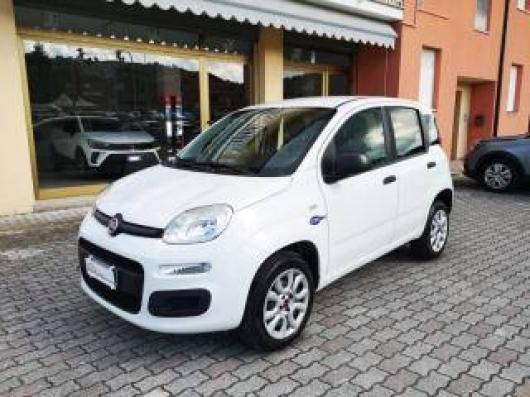 usato FIAT Panda