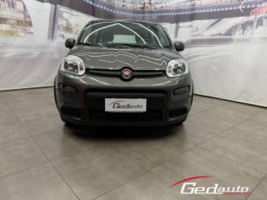 usato FIAT Panda